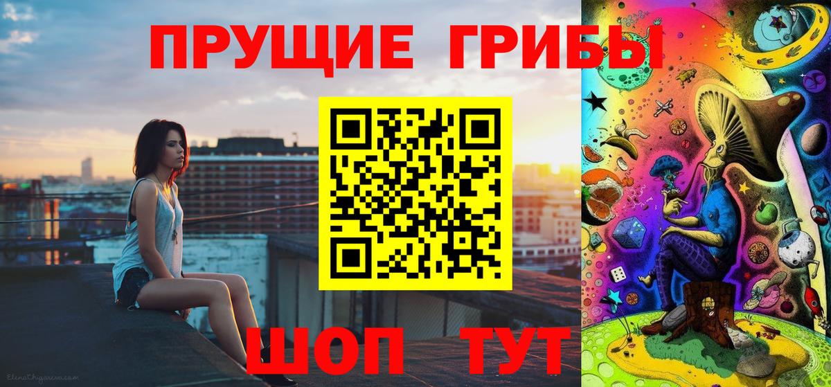 Каменка  Псилоцибиновые грибы Magic Shrooms  Псилоцибиновые грибы мицелий  Вход с VPN 